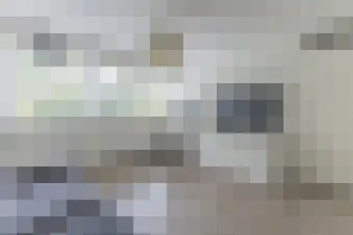 Graan voor Visch 14503 Hoofddorp thumbnail 15
