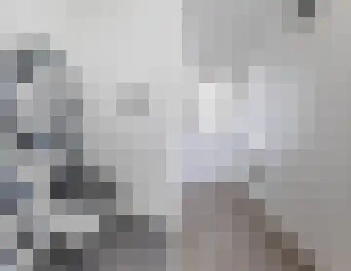 Graan voor Visch 14503 Hoofddorp thumbnail 21