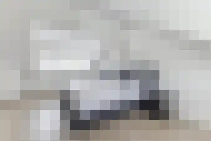 Graan voor Visch 14503 Hoofddorp thumbnail 24