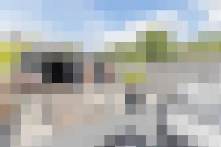 Graan voor Visch 14503 Hoofddorp thumbnail 27