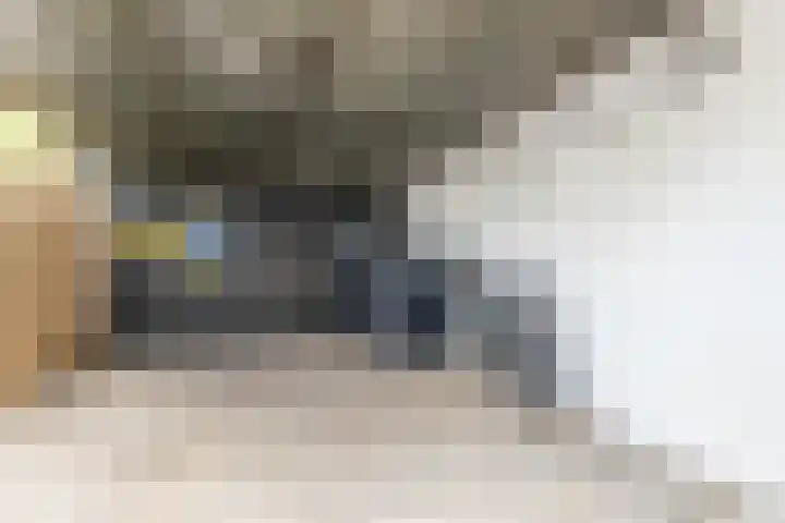Graan voor Visch 14503 Hoofddorp thumbnail 28