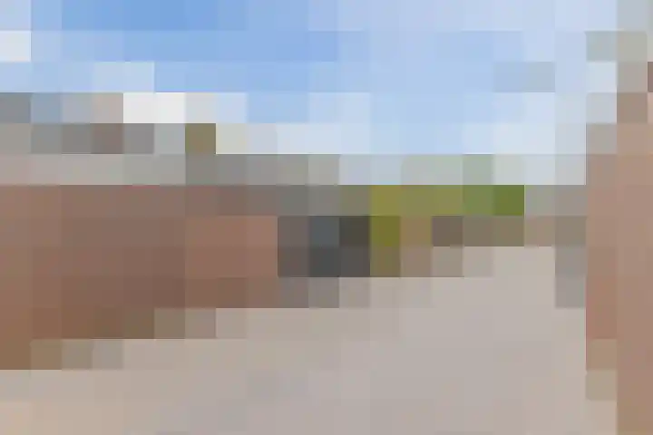 Graan voor Visch 14503 Hoofddorp thumbnail 29