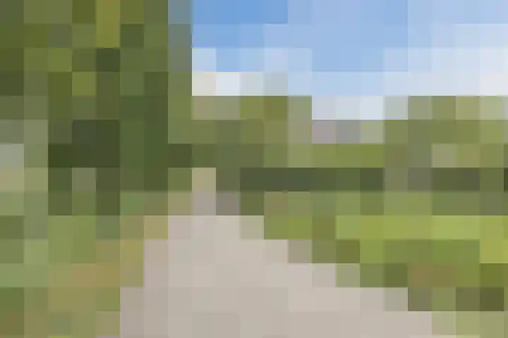 Graan voor Visch 14503 Hoofddorp thumbnail 30