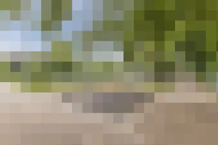 Graan voor Visch 14503 Hoofddorp thumbnail 31