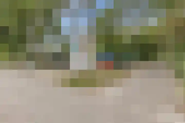 Graan voor Visch 14503 Hoofddorp thumbnail 32