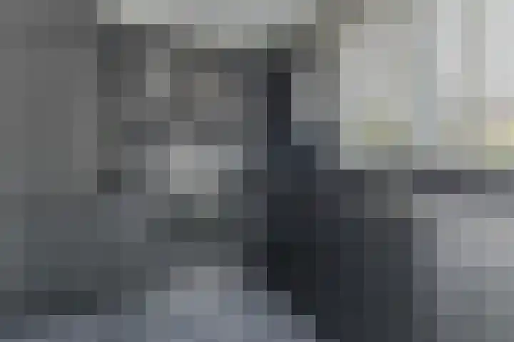 Graan voor Visch 14503 Hoofddorp thumbnail 4