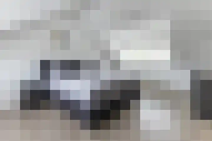 Graan voor Visch 14503 Hoofddorp thumbnail 5