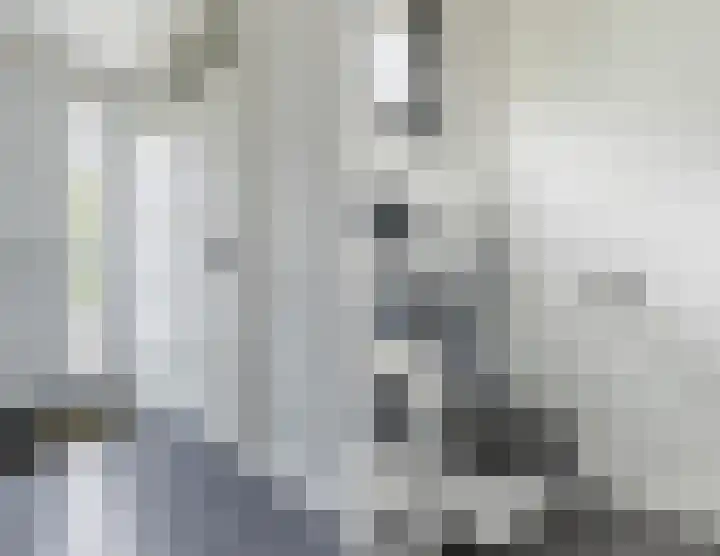 Graan voor Visch 14503 Hoofddorp thumbnail 6