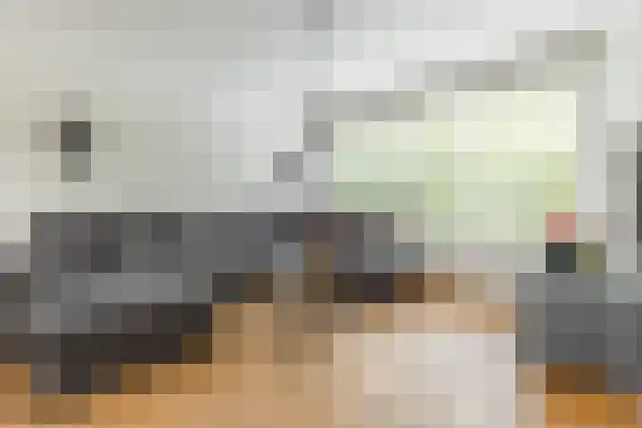 Graan voor Visch 14503 Hoofddorp thumbnail 8