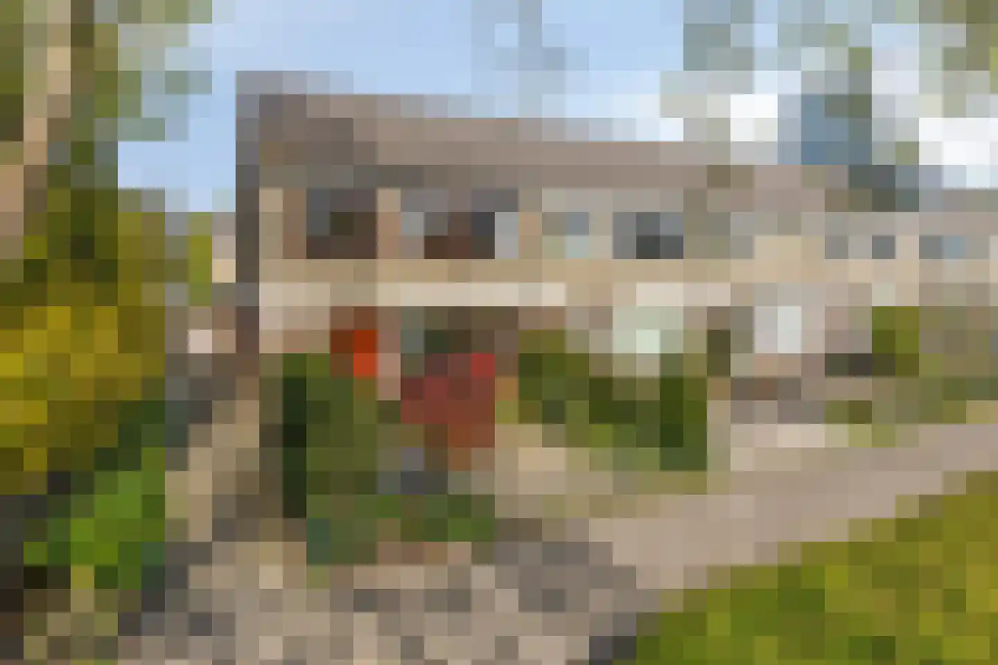 Graan voor Visch 14801 Hoofddorp