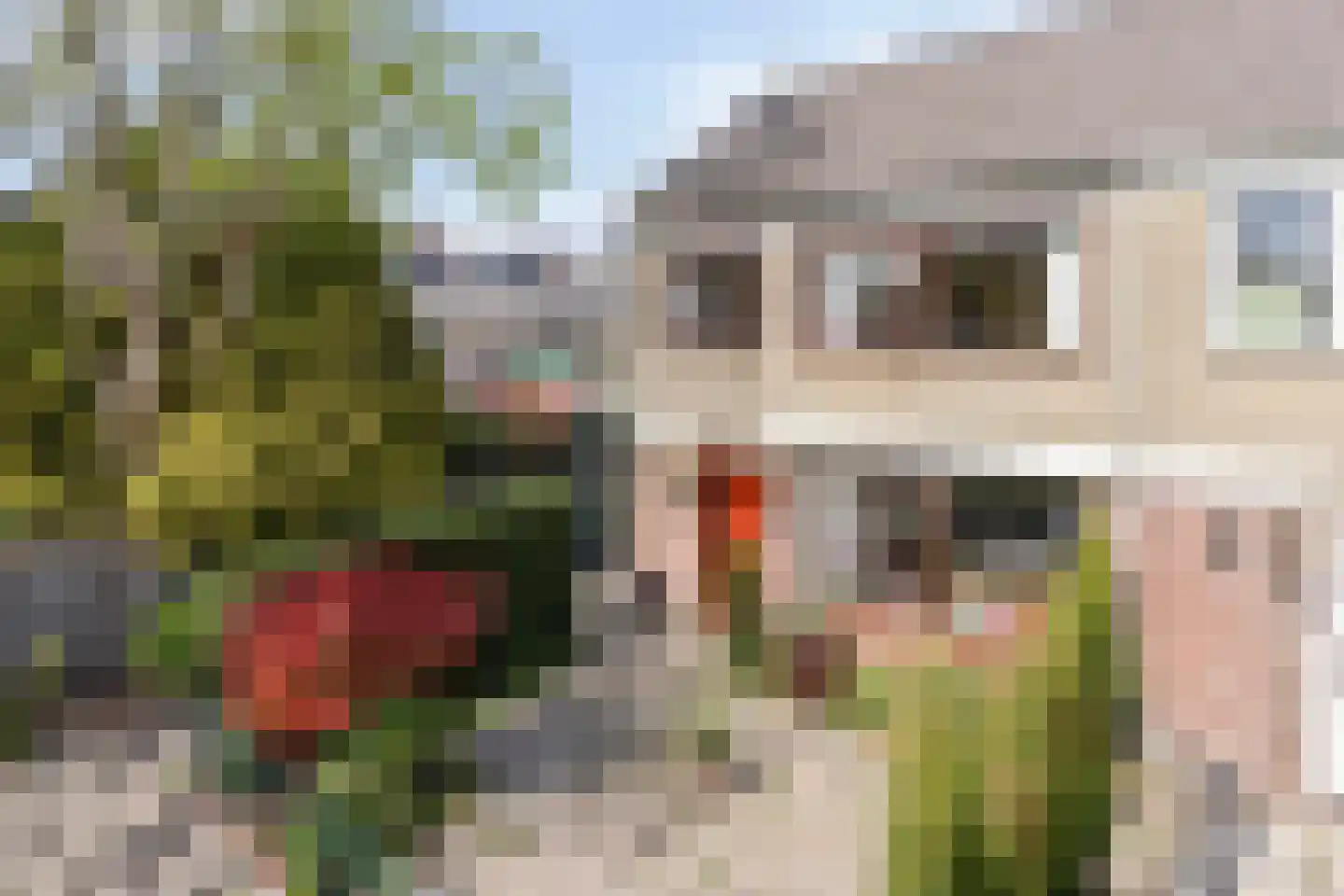 Graan voor Visch 14801 Hoofddorp thumbnail 11