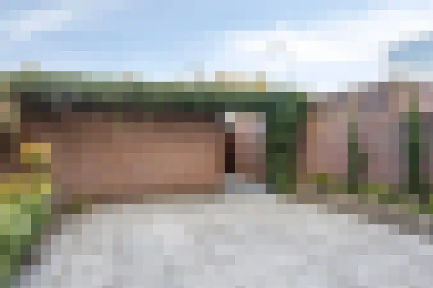 Graan voor Visch 14801 Hoofddorp thumbnail 15