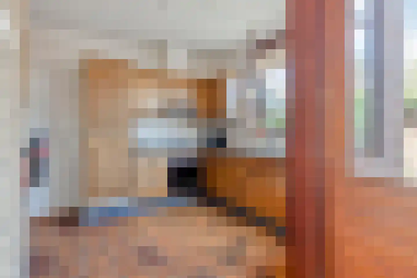 Graan voor Visch 14801 Hoofddorp thumbnail 27
