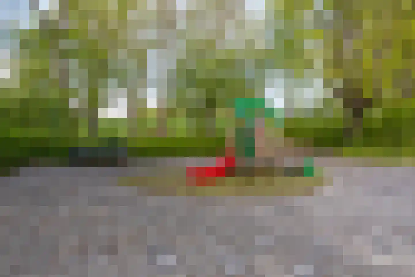 Graan voor Visch 14801 Hoofddorp thumbnail 47