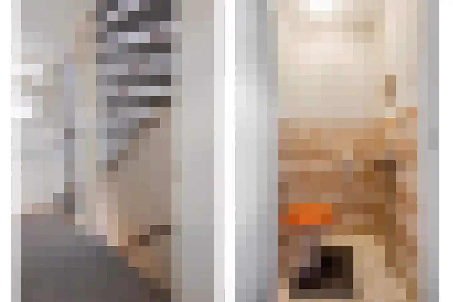 Graan voor Visch 14801 Hoofddorp thumbnail 7