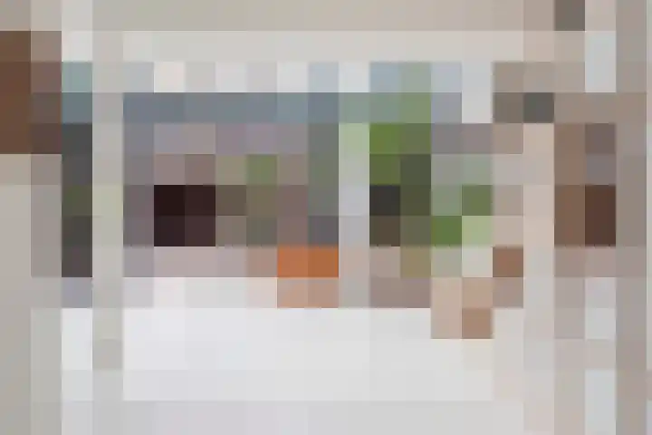 Graan voor Visch 14902 Hoofddorp thumbnail 15