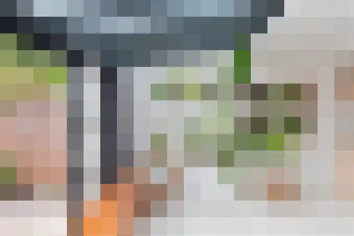 Graan voor Visch 14902 Hoofddorp thumbnail 22
