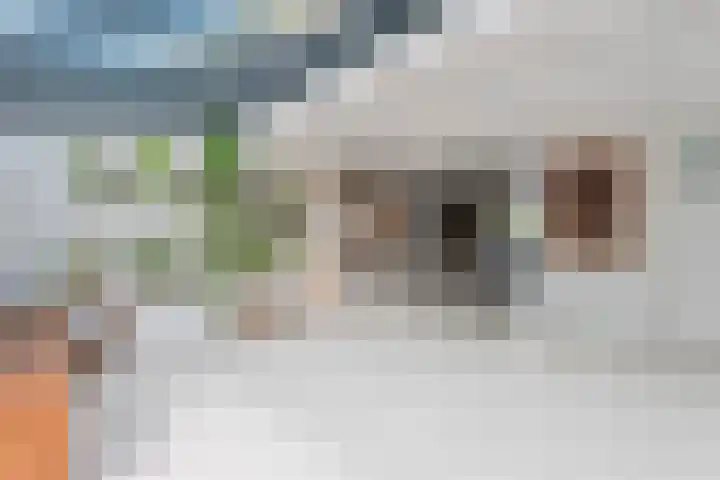 Graan voor Visch 14902 Hoofddorp thumbnail 23
