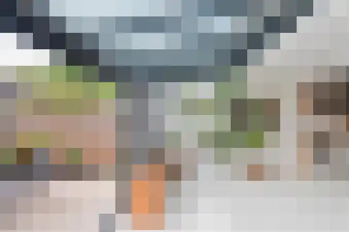 Graan voor Visch 14902 Hoofddorp thumbnail 25
