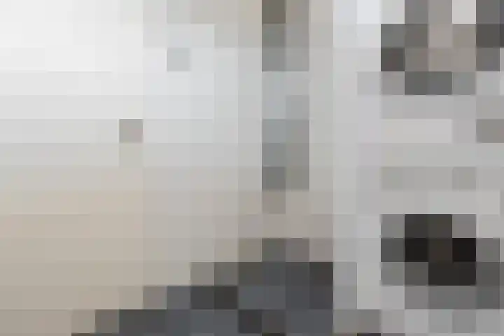 Graan voor Visch 14902 Hoofddorp thumbnail 30