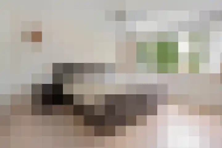 Graan voor Visch 14902 Hoofddorp thumbnail 34