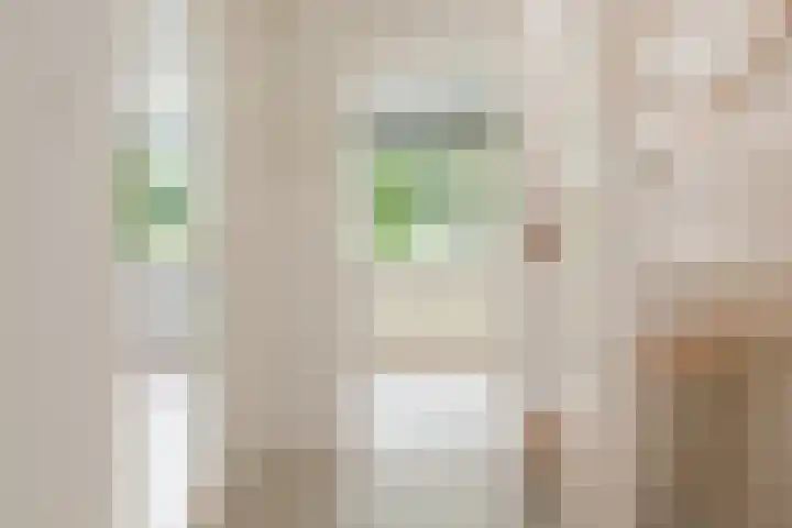 Graan voor Visch 14902 Hoofddorp thumbnail 37
