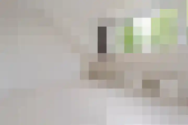 Graan voor Visch 14902 Hoofddorp thumbnail 44