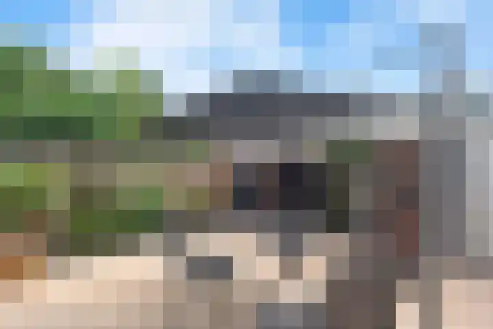 Graan voor Visch 14902 Hoofddorp thumbnail 47
