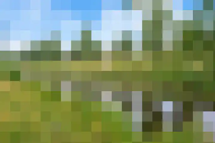 Graan voor Visch 14902 Hoofddorp thumbnail 5