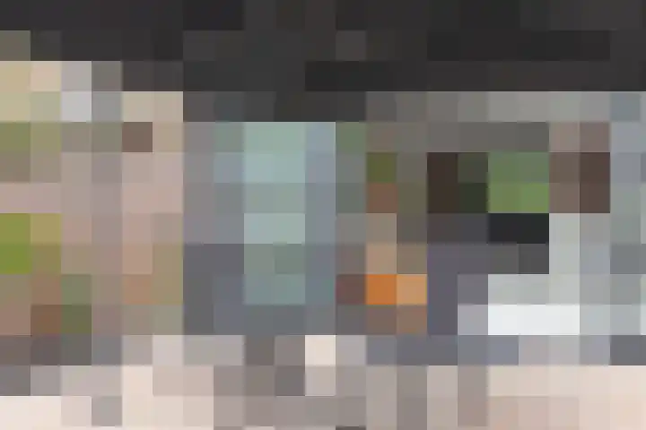 Graan voor Visch 14902 Hoofddorp thumbnail 50