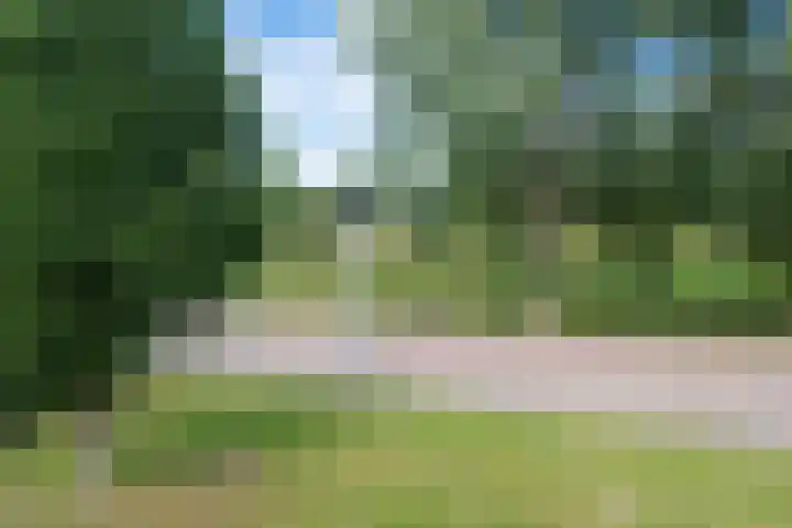 Graan voor Visch 14902 Hoofddorp thumbnail 54