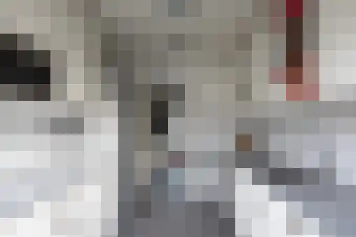 Graan voor Visch 15016 Hoofddorp thumbnail 10