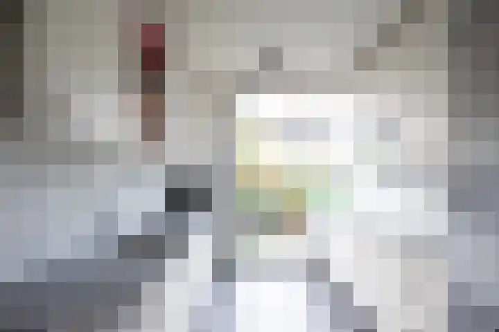 Graan voor Visch 15016 Hoofddorp thumbnail 11