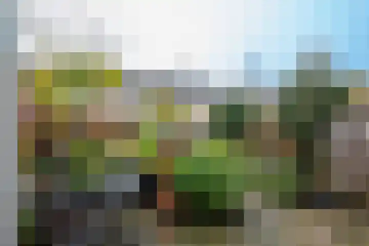 Graan voor Visch 15016 Hoofddorp thumbnail 12