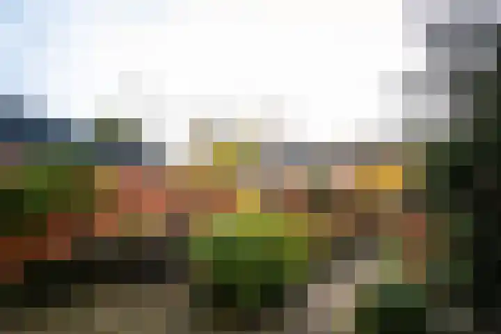 Graan voor Visch 15016 Hoofddorp thumbnail 13