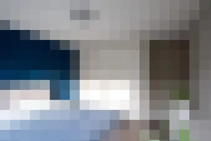 Graan voor Visch 15016 Hoofddorp thumbnail 21
