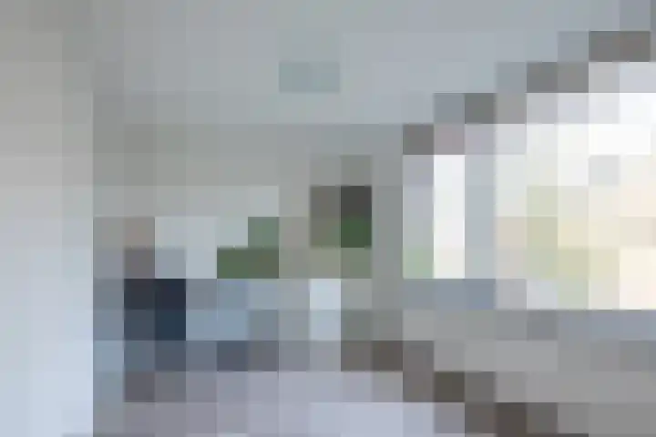 Graan voor Visch 15016 Hoofddorp thumbnail 24