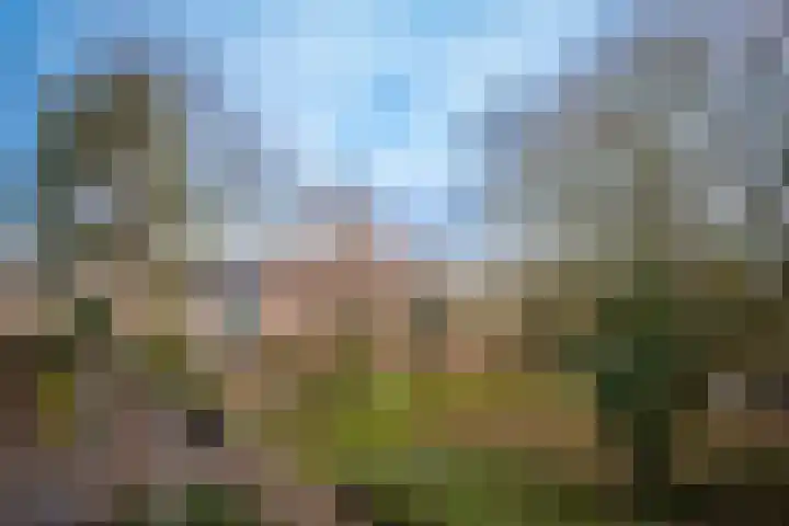 Graan voor Visch 15016 Hoofddorp thumbnail 32
