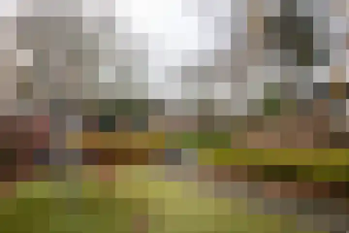 Graan voor Visch 15016 Hoofddorp thumbnail 36