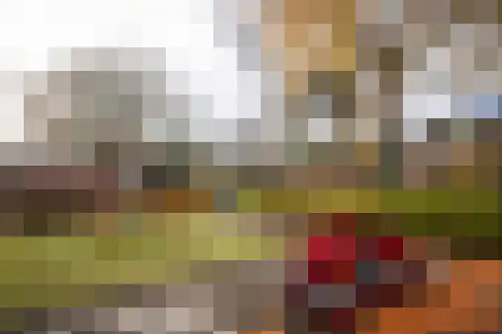 Graan voor Visch 15016 Hoofddorp thumbnail 37