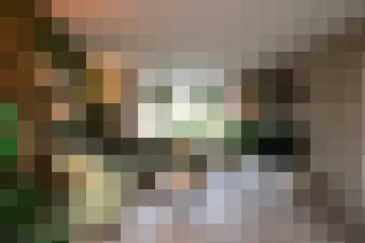 Graan voor Visch 15016 Hoofddorp thumbnail 4