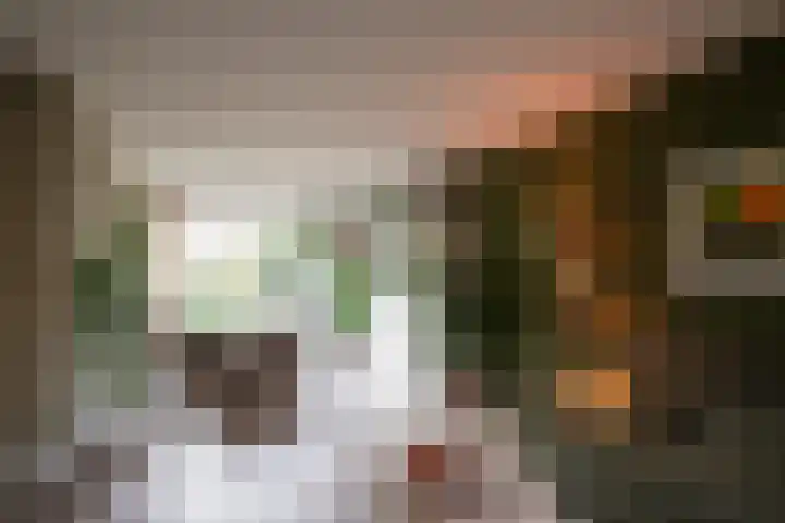 Graan voor Visch 15016 Hoofddorp thumbnail 5