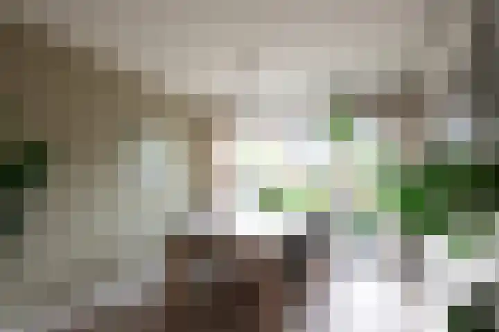 Graan voor Visch 15016 Hoofddorp thumbnail 6