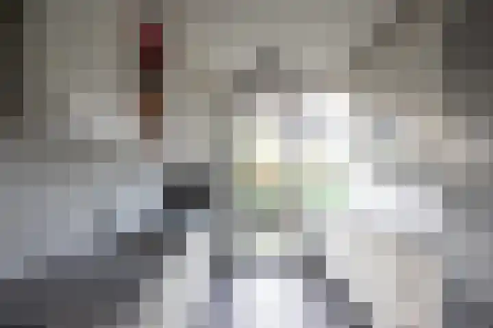 Graan voor Visch 15016 Hoofddorp thumbnail 9