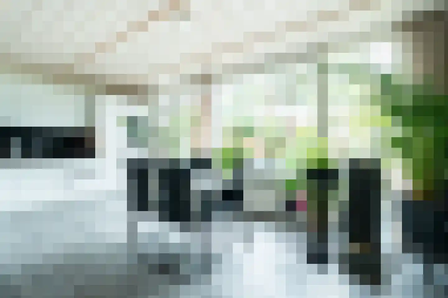 Graan voor Visch 15018 Hoofddorp thumbnail 14