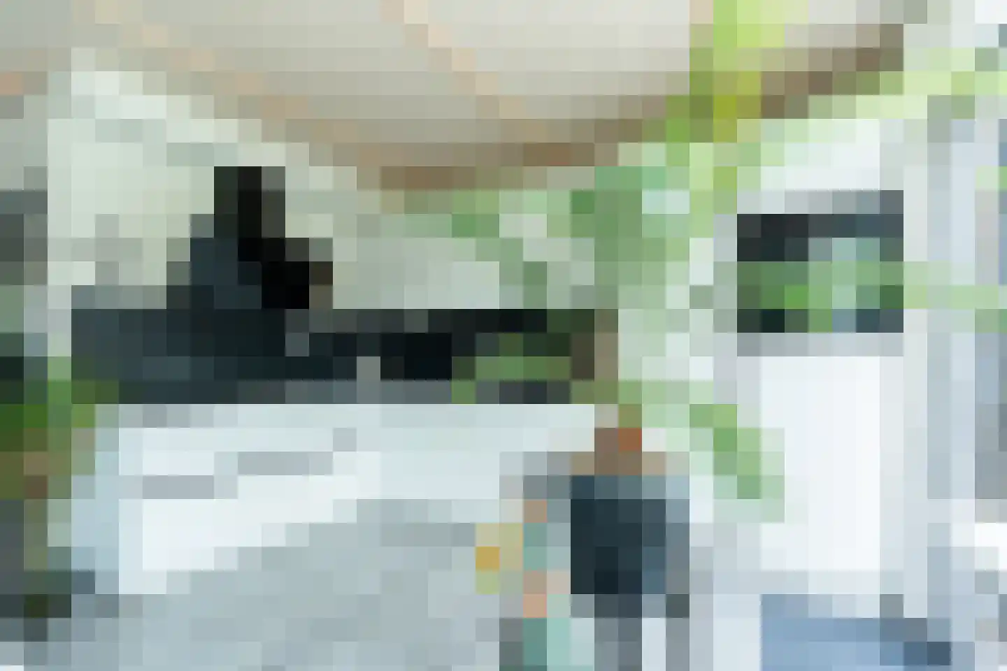 Graan voor Visch 15018 Hoofddorp thumbnail 16
