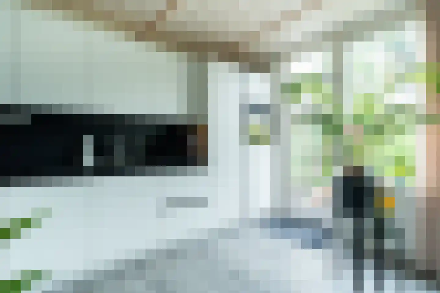 Graan voor Visch 15018 Hoofddorp thumbnail 17