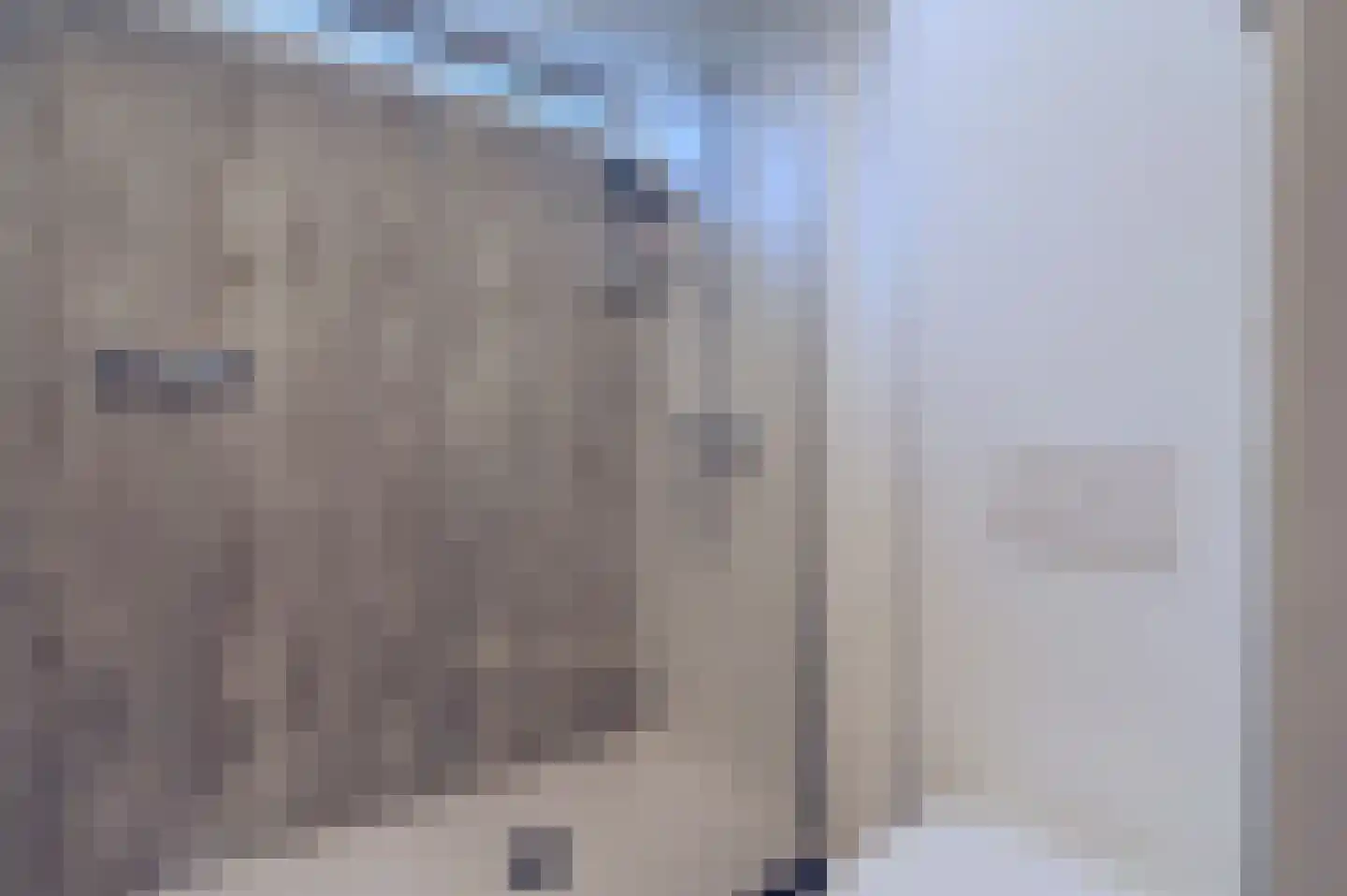 Graan voor Visch 15018 Hoofddorp thumbnail 30