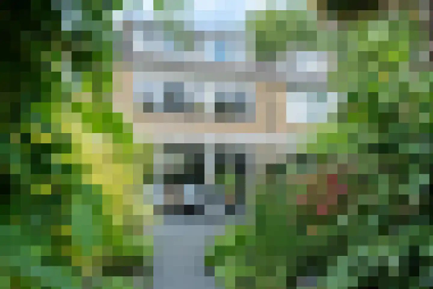 Graan voor Visch 15018 Hoofddorp thumbnail 41