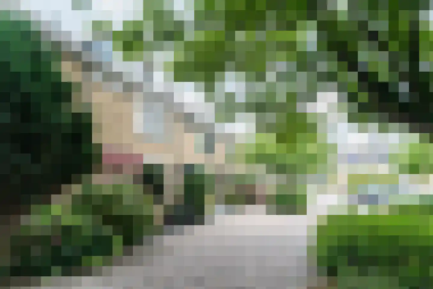 Graan voor Visch 15018 Hoofddorp thumbnail 7